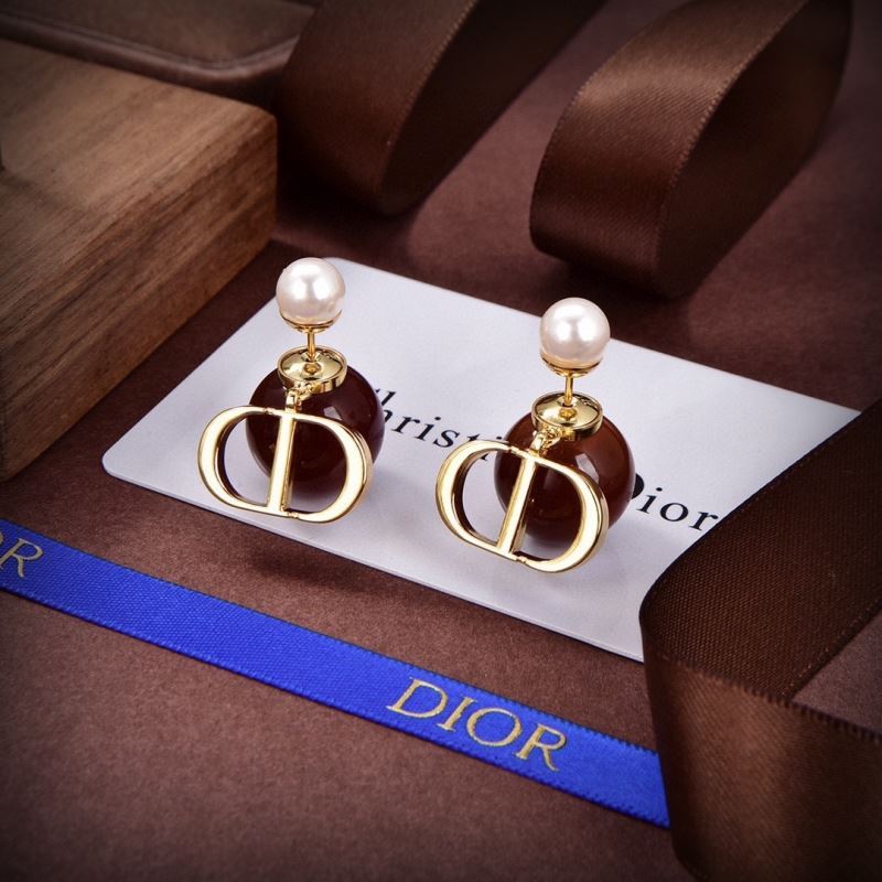 Christian Dior Earrings